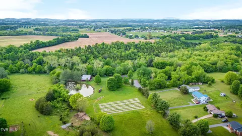 View/Area - 147 Britton Lane Limestone Tn 37681, Limestone, TN 37681 photo 12 of 32