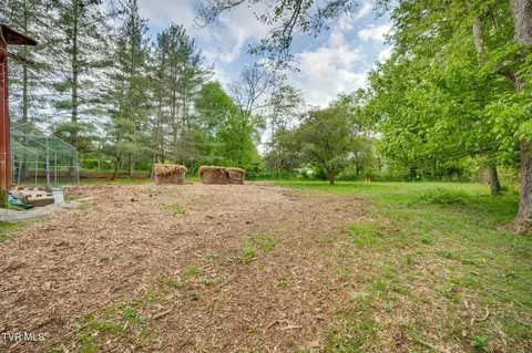 Exterior - 147 Britton Lane Limestone Tn 37681, Limestone, TN 37681 photo 16 of 22