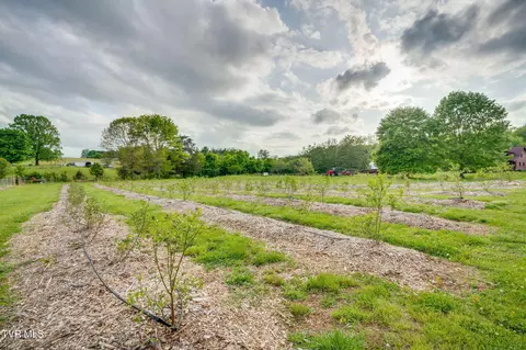 Exterior - 147 Britton Lane Limestone Tn 37681, Limestone, TN 37681 photo 19 of 22