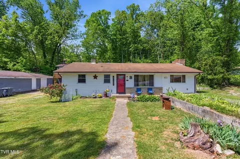 433 Mimosa Street Mount Carmel Tn 37645, Mount Carmel, TN 37645