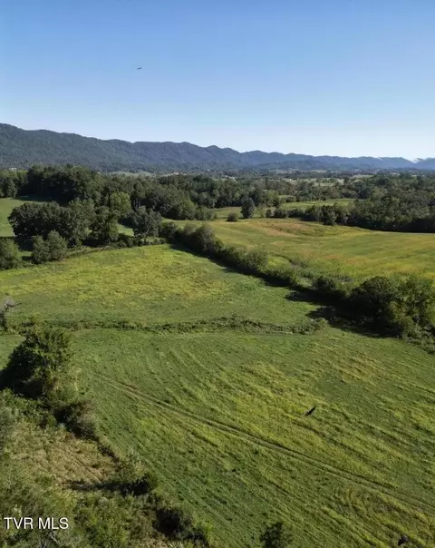 317 Singleton Hollow Road Speedwell Tn 37870, Speedwell, TN 37870