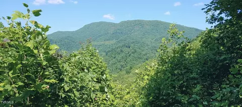 174 Doty Road Roan Mountain Tn 37687, Roan Mountain, TN 37687