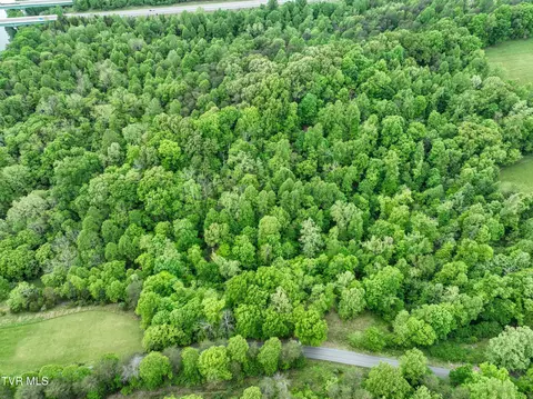 660 Gottland Shoals Road Blountville Tn 37617, Blountville, TN 37617
