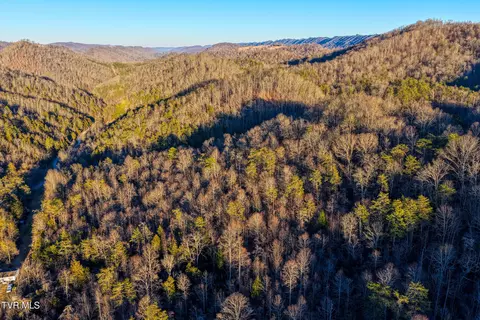 tbd E Pumpkin Valley Road Eidson Tn 37731, Eidson, TN 37731 photo 5
