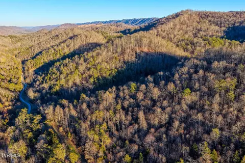 tbd E Pumpkin Valley Road Eidson Tn 37731, Eidson, TN 37731 photo 4