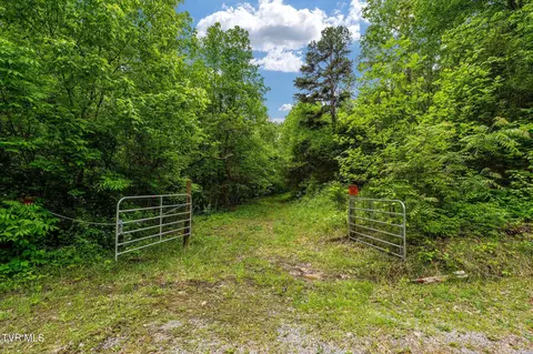 tbd Wattenbarger Gap Road Greeneville Tn 37745, Greeneville, TN 37745