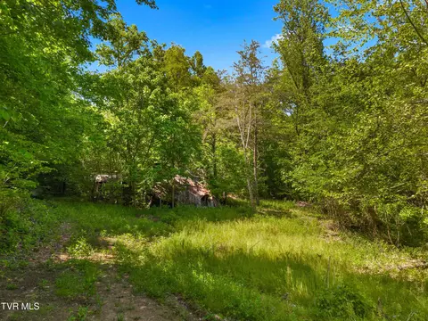 1243 Brandon Hollow Lane Bulls Gap Tn 37711, Bulls Gap, TN 37711