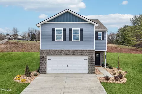 313 Alta Tree Blvd Johnson City Tn 37604, Johnson City, TN 37604