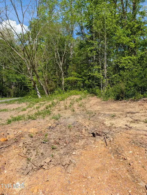 523 Sulphur Springs Road Rogersville Tn 37857, Rogersville, TN 37857