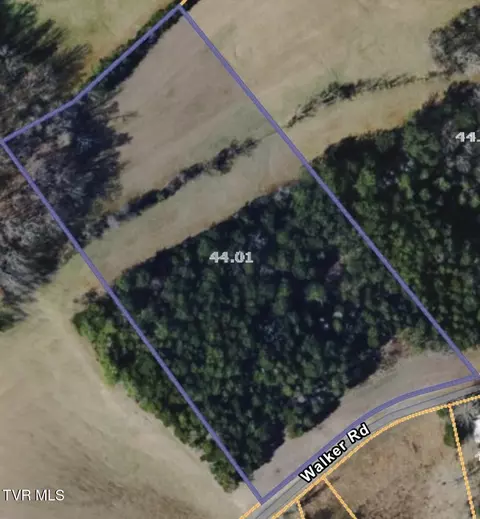 115 Walker Road Bulls Gap Tn 37711, Bulls Gap, TN 37711