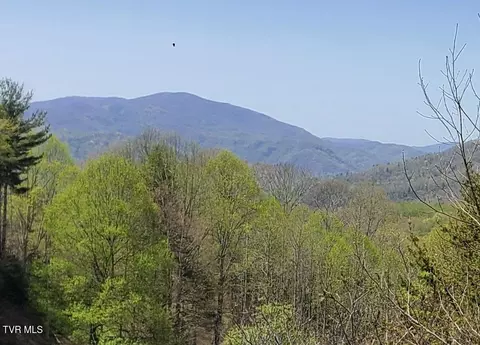 lot27 Blue Grass Road Roan Mountain Tn 37687, Roan Mountain, TN 37687