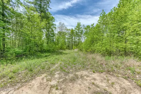 162 Murph Potter Lane Roan Mountain Tn 37687, Roan Mountain, TN 37687