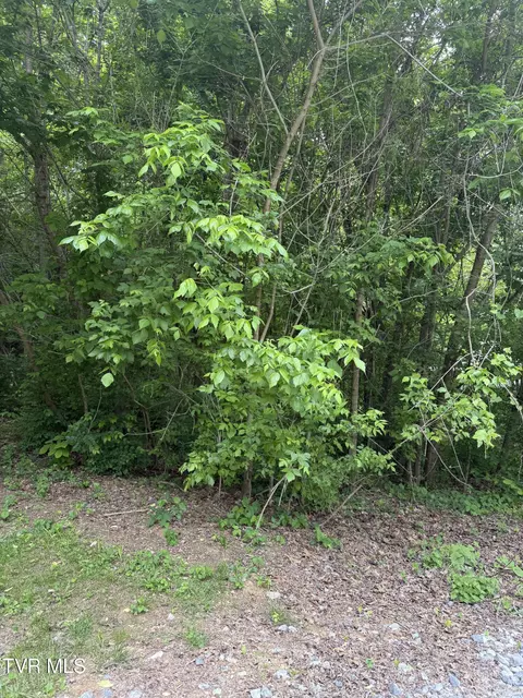 tbd Neth Drive Johnson City Tn 37601, Johnson City, TN 37601