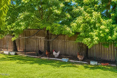 Other - 225 Shaw Road Chuckey Tn 37641, Chuckey, TN 37641 photo 12 of 15