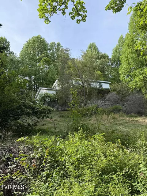16135 Pocahontas Trail Meadowview Va 24361, Meadowview, VA 24361
