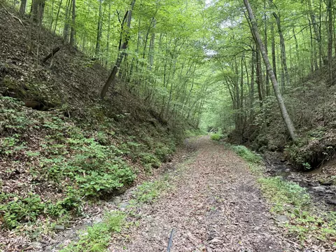 tbd N Highway 66 Rogersville Tn 37857, Rogersville, TN 37857