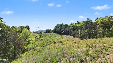 7 5acres Oak Hills Road Mosheim Tn 37818, Mosheim, TN 37818