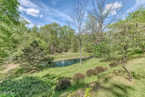 Other - 255 Willmary Road Piney Flats Tn 37686, Piney Flats, TN 37686 photo 24 of 50