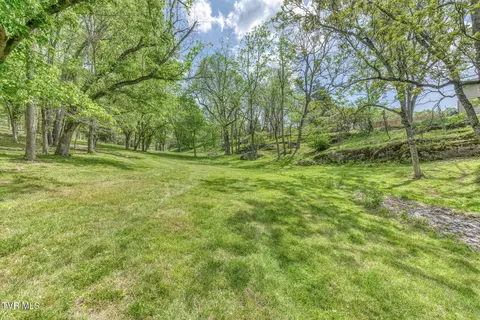 Exterior - 255 Willmary Road Piney Flats Tn 37686, Piney Flats, TN 37686 photo 66 of 73