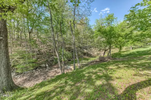 Exterior - 255 Willmary Road Piney Flats Tn 37686, Piney Flats, TN 37686 photo 61 of 73