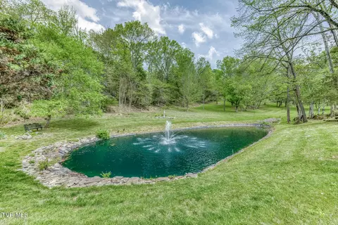 Other - 255 Willmary Road Piney Flats Tn 37686, Piney Flats, TN 37686 photo 26 of 50