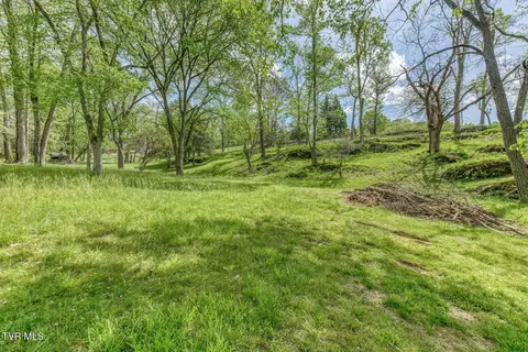 Exterior - 255 Willmary Road Piney Flats Tn 37686, Piney Flats, TN 37686 photo 68 of 73