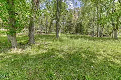 Exterior - 255 Willmary Road Piney Flats Tn 37686, Piney Flats, TN 37686 photo 69 of 73
