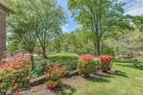 Exterior - 255 Willmary Road Piney Flats Tn 37686, Piney Flats, TN 37686 photo 39 of 73