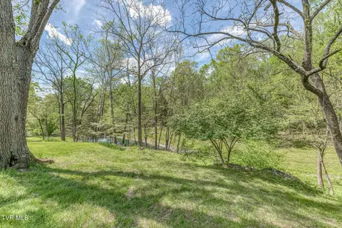 Exterior - 255 Willmary Road Piney Flats Tn 37686, Piney Flats, TN 37686 photo 59 of 73