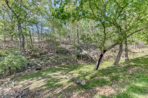 Exterior - 255 Willmary Road Piney Flats Tn 37686, Piney Flats, TN 37686 photo 62 of 73