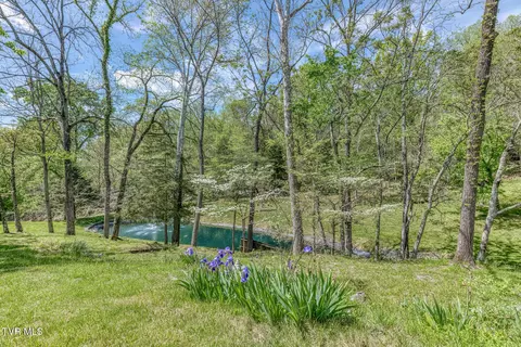Other - 255 Willmary Road Piney Flats Tn 37686, Piney Flats, TN 37686 photo 42 of 50