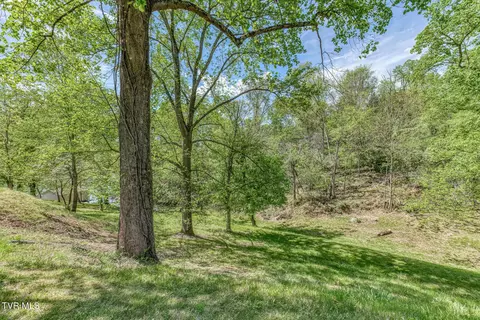 Exterior - 255 Willmary Road Piney Flats Tn 37686, Piney Flats, TN 37686 photo 60 of 73