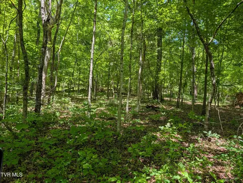 tbd Carters Valley Loop 064 09601 Rogersville Tn 37857, Rogersville, TN 37857
