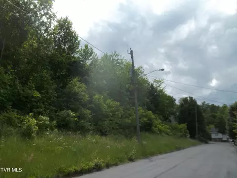 441 Creekside Drive Mount Carmel Tn 37645, Mount Carmel, TN 37645