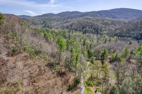 155 Tower Road Roan Mountain Tn 37687, Roan Mountain, TN 37687