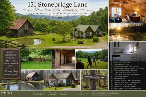 151 Stonebridge Lane Mountain City Tn 37683, Mountain City, TN 37683