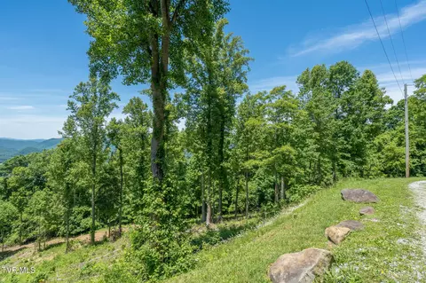 4 Ridgetop Lane 4 Unicoi Tn 37692, Unicoi, TN 37692