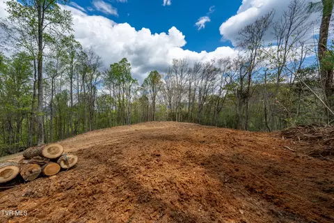 1 Ridge Top Lane 1 Unicoi Tn 37692, Unicoi, TN 37692