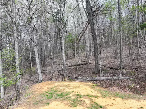 805 Fox Road Chuckey Tn 37641, Chuckey, TN 37641 photo 12
