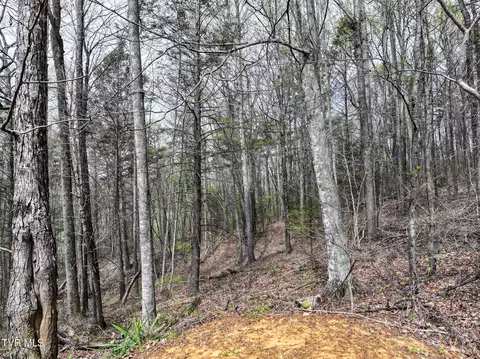 805 Fox Road Chuckey Tn 37641, Chuckey, TN 37641 photo 13
