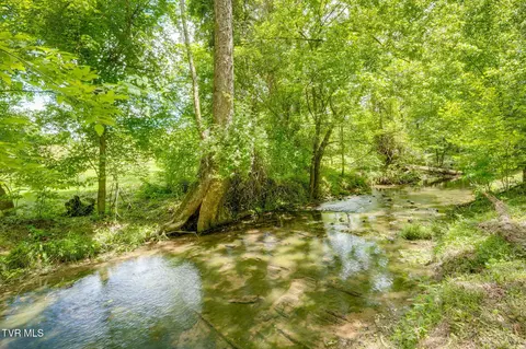 Other - 490 Cockatiel Road Limestone Tn 37681, Limestone, TN 37681 photo 16 of 23