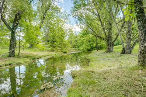 Other - 490 Cockatiel Road Limestone Tn 37681, Limestone, TN 37681 photo 15 of 23