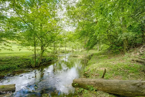 Other - 490 Cockatiel Road Limestone Tn 37681, Limestone, TN 37681 photo 17 of 23