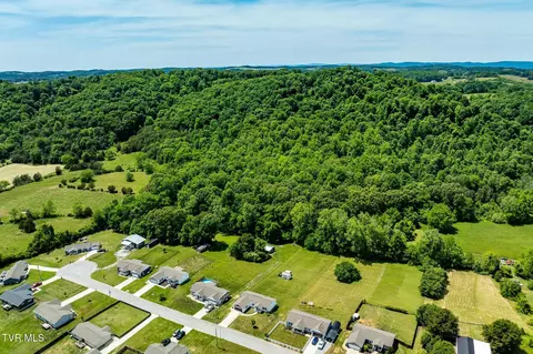 View/Area - 490 Roaming Drive Chuckey Tn 37641, Chuckey, TN 37641 photo 5 of 8