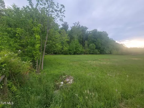 1390 Island Road Blountville Tn 37617, Blountville, TN 37617