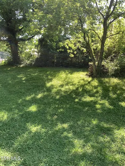 tbd Davis Street Greeneville Tn 37743, Greeneville, TN 37743