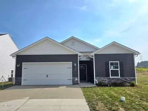 202 Wisteria Drive Bluff City Tn 37618, Bluff City, TN 37618