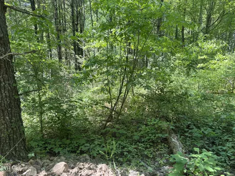 889 Hide Away Drive Butler Tn 37640, Butler, TN 37640