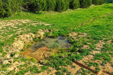 tbd Cloud Creek Road Rogersville Tn 37857, Rogersville, TN 37857