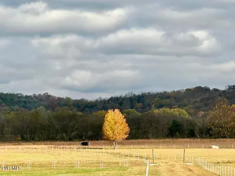 830 Toby Road Mohawk Tn 37810, Mohawk, TN 37810 photo 24